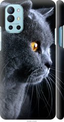 Чехол на OnePlus 9R Красивый кот "3038c-2326-7105"
