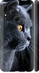 Чехол на Huawei Y9 Prime 2019 Красивый кот "3038c-1736-7105"