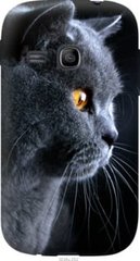 Чехол на Samsung Galaxy Young S6310 / S6312 Красивый кот "3038u-252-7105"