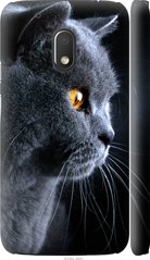 Чехол на Motorola Moto G4 Play Красивый кот "3038c-860-7105"