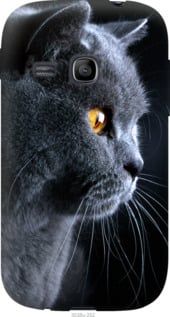 Чехол на Samsung Galaxy Young S6310 / S6312 Красивый кот "3038u-252-7105"