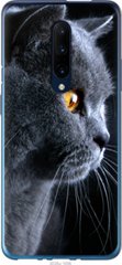 Чехол на OnePlus 7 Pro Красивый кот "3038u-1696-7105"