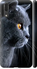 Чехол на Huawei P20 Красивый кот "3038c-1396-7105"