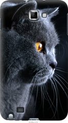 Чехол на Samsung Galaxy Note i9220 Красивый кот "3038u-316-7105"