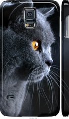 Чехол на Samsung Galaxy S5 Duos SM G900FD Красивый кот "3038c-62-7105"