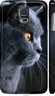 Чехол на Samsung Galaxy S5 Duos SM G900FD Красивый кот "3038c-62-7105"