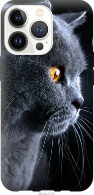 Чехол на Apple iPhone 13 Pro Красивый кот "3038u-2372-7105"
