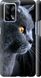 Чехол на Oppo A74 Красивый кот "3038c-2305-7105"