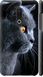 Чехол на Meizu 15 Plus Красивый кот "3038c-1473-7105"