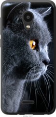 Чехол на Meizu C9 Красивый кот "3038u-1627-7105"