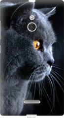 Чехол на Nokia XL Красивый кот "3038u-500-7105"