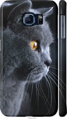 Чехол на Galaxy S6 G920 Красивый кот "3038c-80-7105"