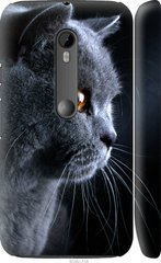 Чехол на Motorola Moto G3 Красивый кот "3038c-318-7105"