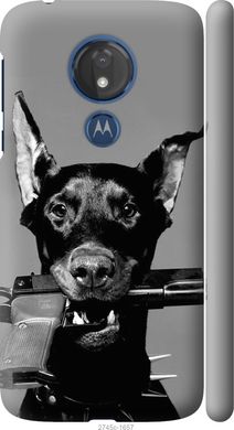 Чехол на Motorola Moto G7 Power Доберман "2745c-1657-7105"
