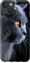 Чехол на Apple iPhone 13 Красивый кот "3038u-2374-7105"