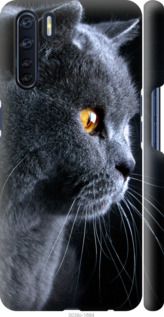 Чехол на Oppo A91 Красивый кот "3038c-1884-7105"