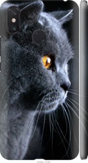 Чехол на Xiaomi Mi Max 3 Красивый кот "3038c-1534-7105"