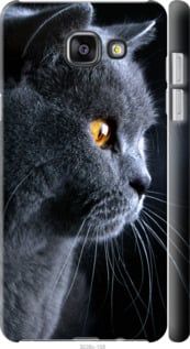 Чехол на Samsung Galaxy A5 (2016) A510F Красивый кот "3038c-158-7105"