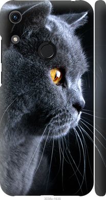 Чехол на Huawei Honor 8A Красивый кот "3038c-1635-7105"