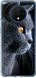 Чехол на OnePlus 7T Красивый кот "3038u-1809-7105"