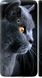 Чехол на Meizu 16 Plus Красивый кот "3038c-1566-7105"