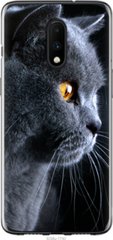 Чехол на OnePlus 7 Красивый кот "3038u-1740-7105"