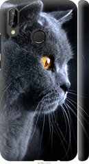 Чехол на Huawei P20 Lite Красивый кот "3038c-1410-7105"