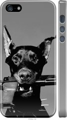 Чехол на iPhone SE Доберман "2745c-214-7105"