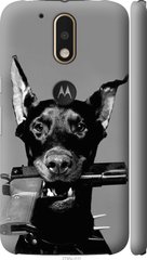 Чехол на Motorola MOTO G4 Доберман "2745c-511-7105"