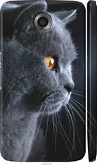 Чехол на Motorola Nexus 6 Красивый кот "3038c-67-7105"