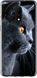 Чехол на OnePlus 7 Красивый кот "3038u-1740-7105"