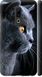 Чехол на Meizu 16th Красивый кот "3038c-1559-7105"