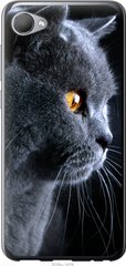 Чехол на HTC Desire 12 Красивый кот "3038u-1476-7105"