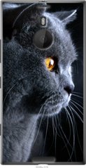 Чехол на Nokia Lumia 1520 Красивый кот "3038u-314-7105"