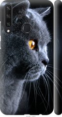 Чехол на Huawei Y6p Красивый кот "3038c-1952-7105"