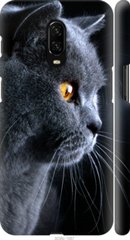 Чехол на OnePlus 6T Красивый кот "3038c-1587-7105"