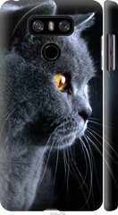 Чехол на LG G6 Красивый кот "3038c-836-7105"
