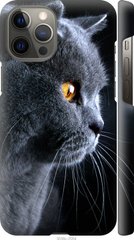 Чехол на Apple iPhone 12 Pro Max Красивый кот "3038c-2054-7105"