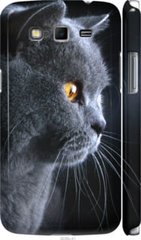 Чехол на Samsung Galaxy Grand 2 G7102 Красивый кот "3038c-41-7105"