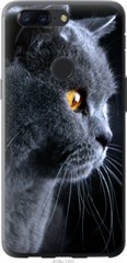 Чехол на OnePlus 5T Красивый кот "3038u-1352-7105"