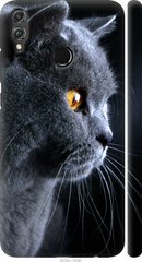 Чехол на Huawei Honor 8X Красивый кот "3038c-1596-7105"