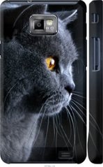 Чехол на Galaxy S2 i9100 Красивый кот "3038c-14-7105"